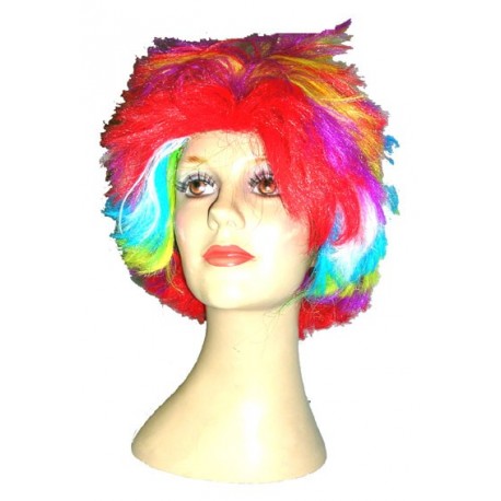 perruque multicolore