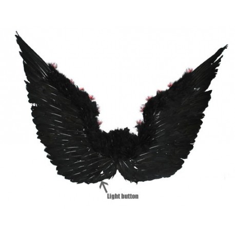 ailes noires