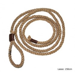 lasso