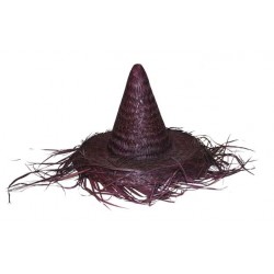 chapeau sorcière