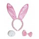 set lapin