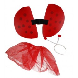 set coccinelle