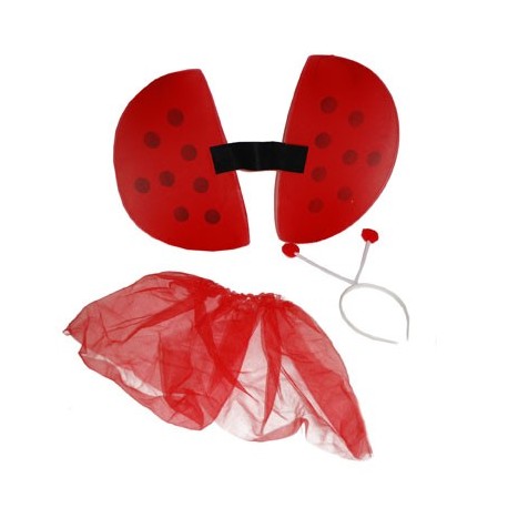 set coccinelle